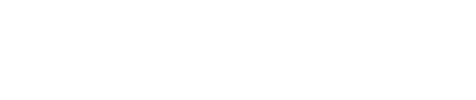 Partner logo 5